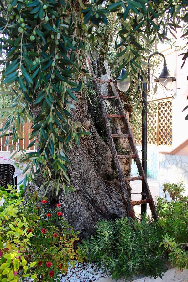 Villa Marchionna Βιέστε Εξωτερικό φωτογραφία